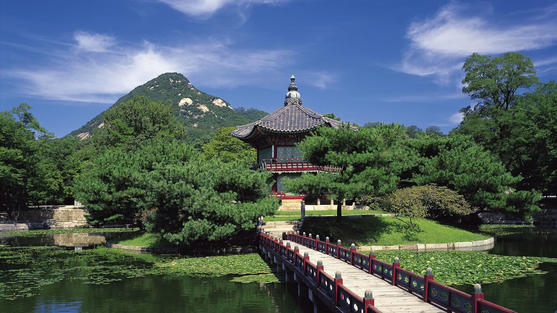 世界攀岩场馆文化活动与社区融合案例,攀岩旅游活动